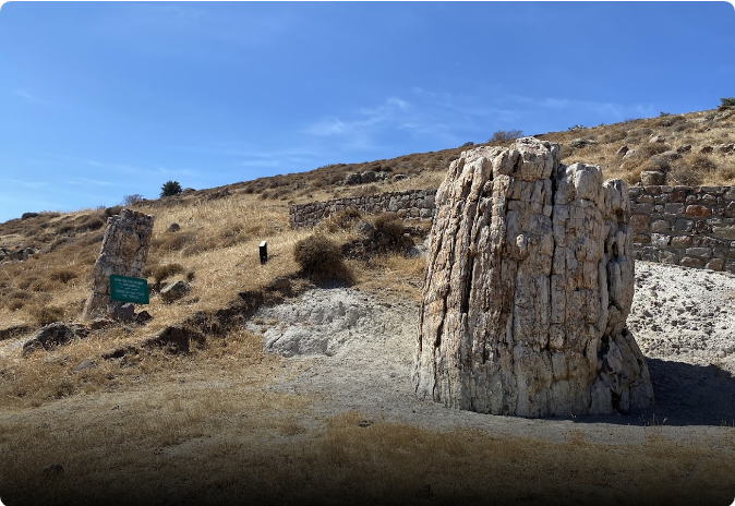 Petrified Forest of Lesvos, UNESCO geopark